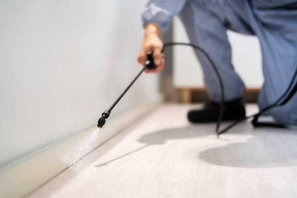 Certified termite inspector examining foundation in Utica